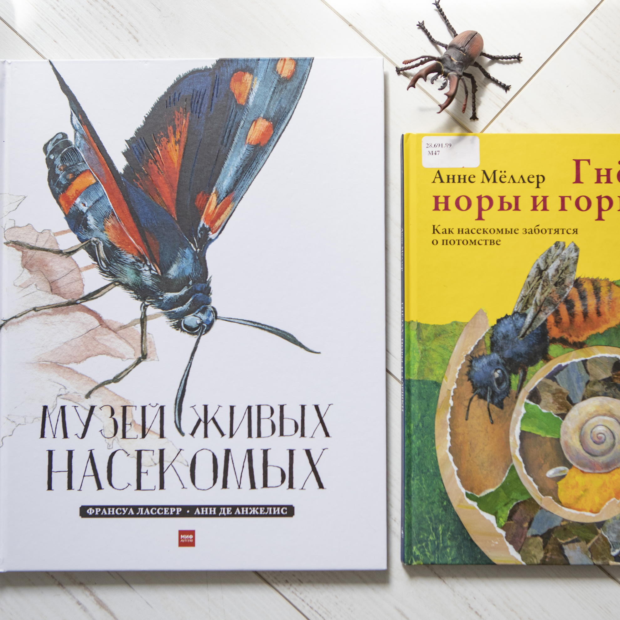 Книги про насекомых 3+
